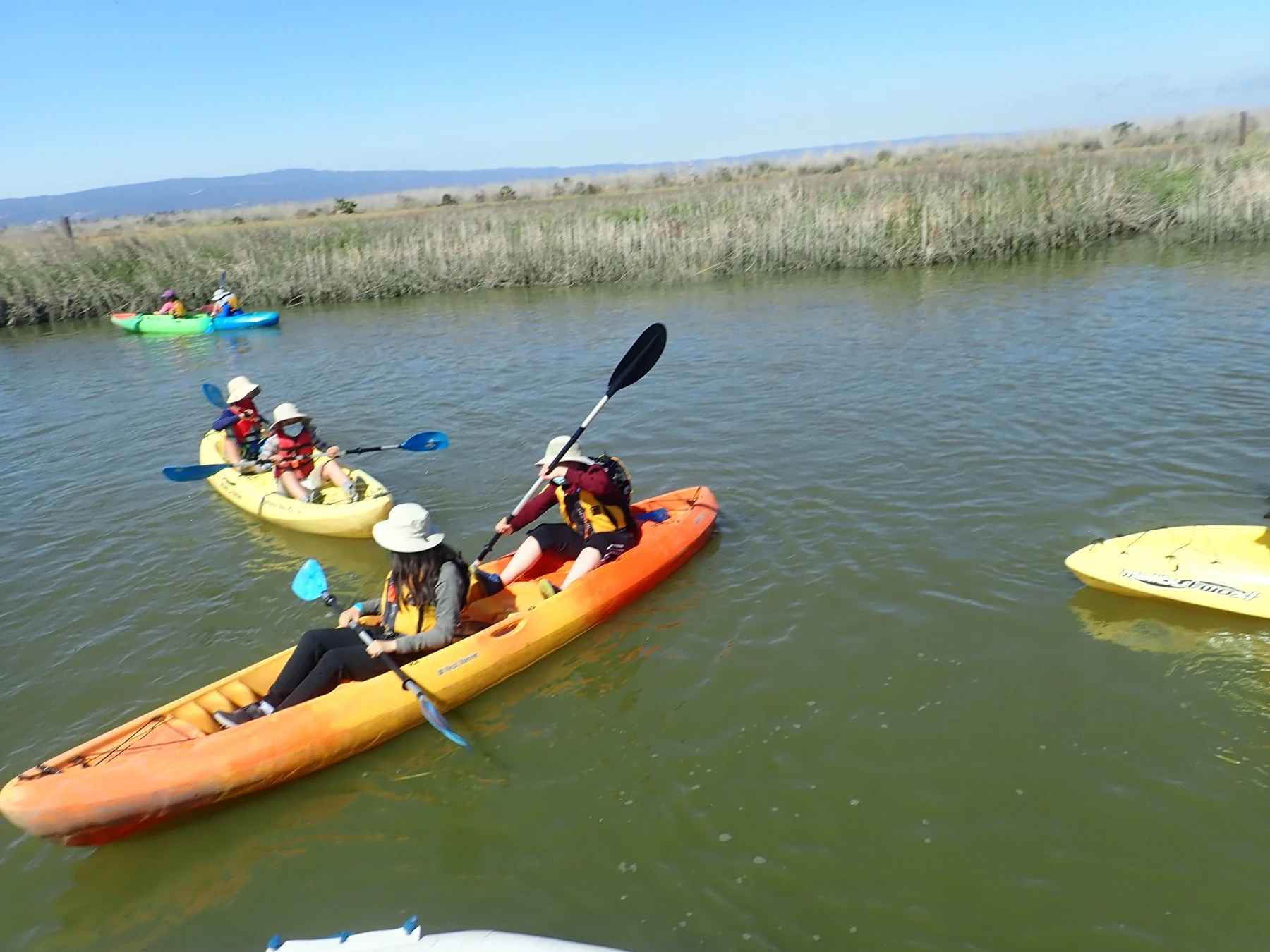 Day on the Bay